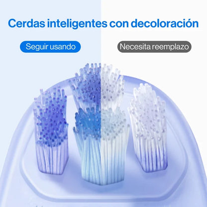 Repuesto Cabezal Cepillo 2.0 x2