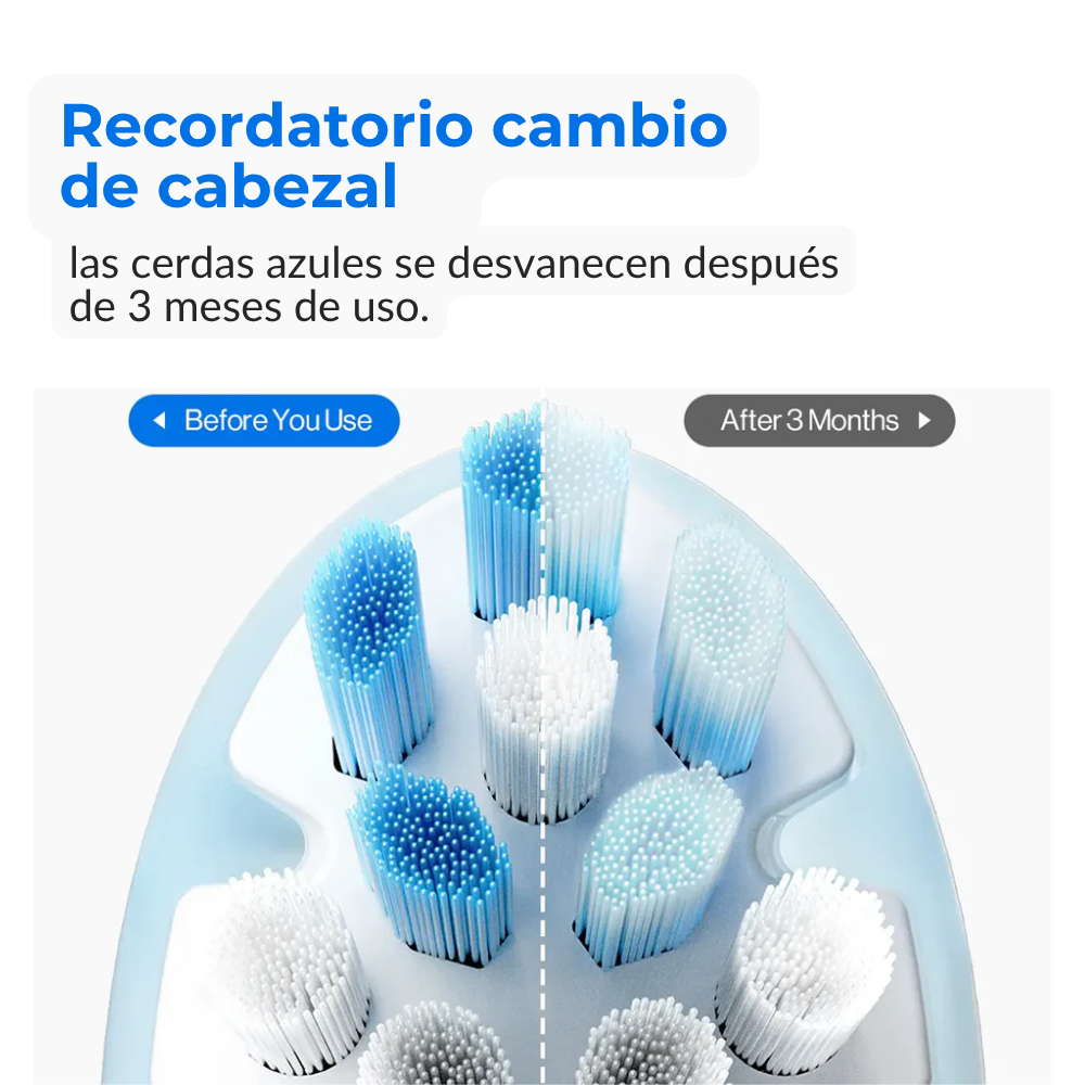 Repuesto Cabezal Cepillo x2