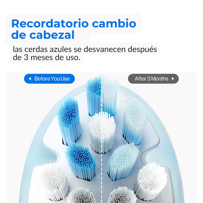 Repuesto Cabezal Cepillo x2